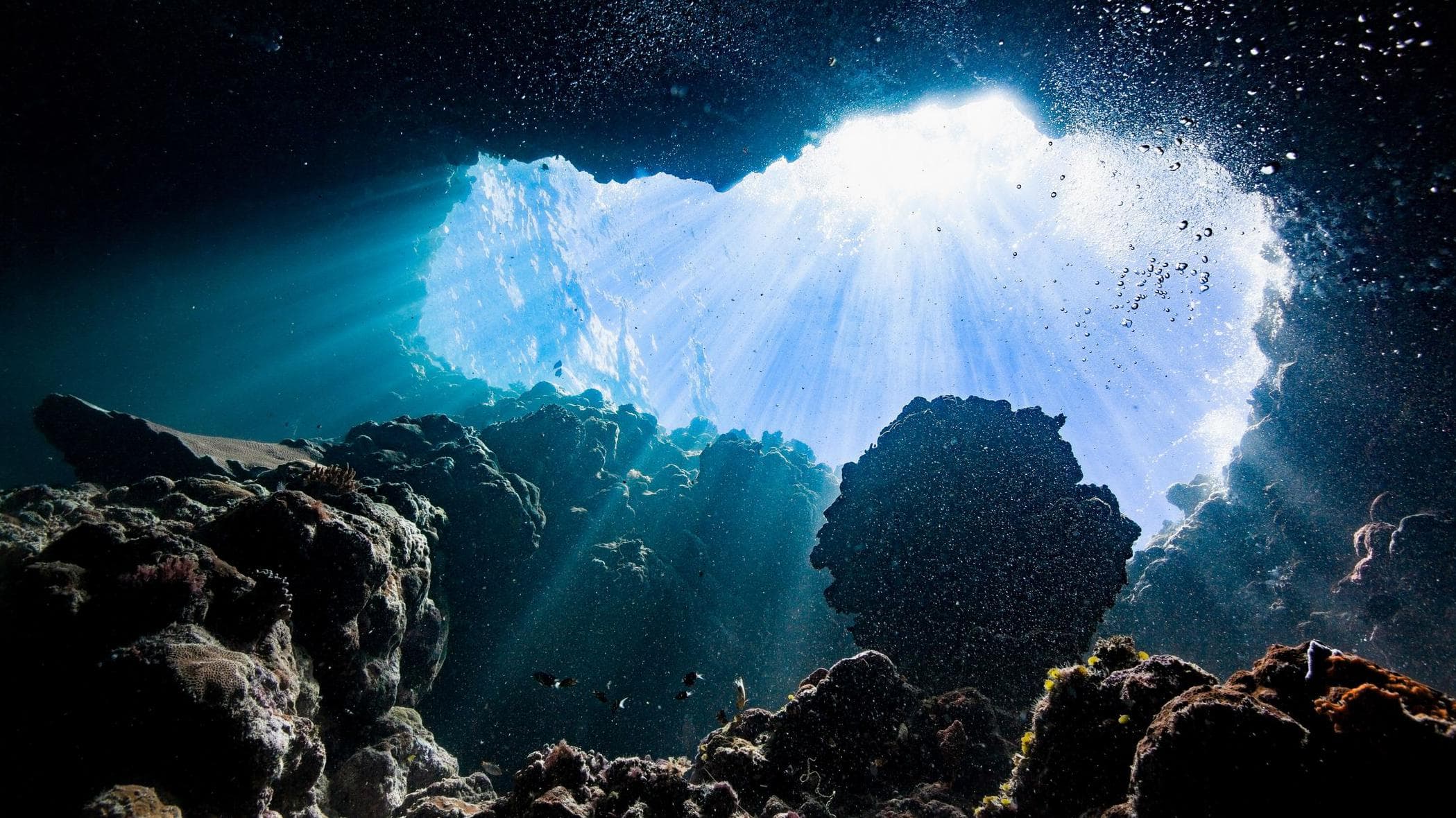 Dark oxygen deep ocean nodules producing oxygen without sunlight on the seafloor